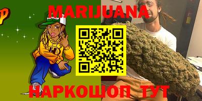 стаф Гай