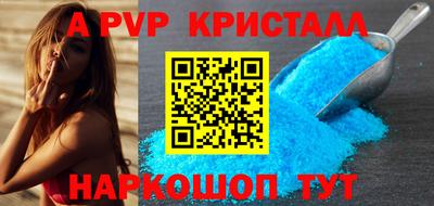 стаф Гай
