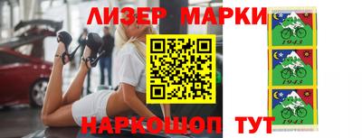 стаф Гай