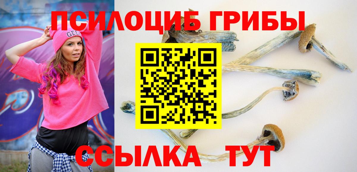 Галлюциногенные грибы Psilocybe Назарово