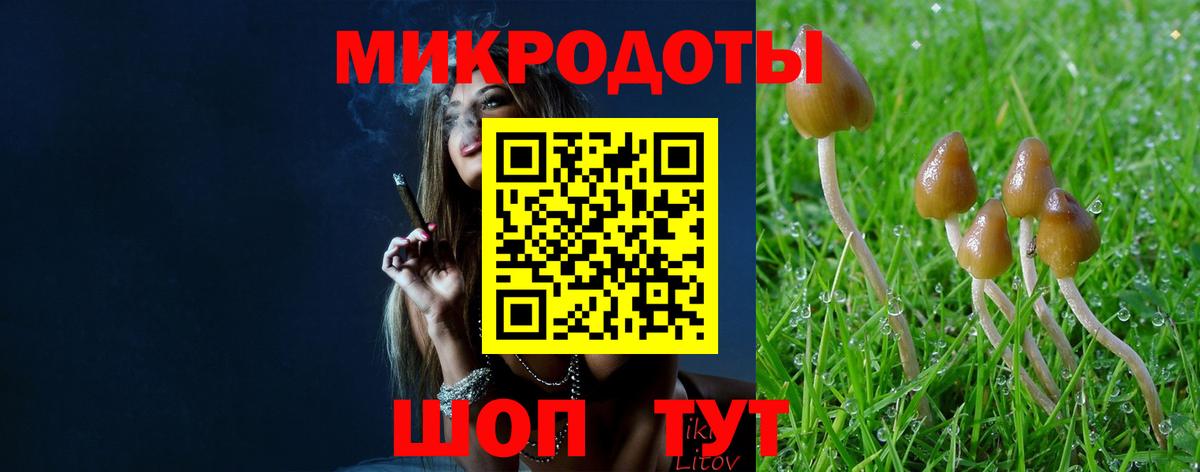 продажа наркотиков  Вход с VPN  Назарово  Галлюциногенные грибы GOLDEN TEACHER 